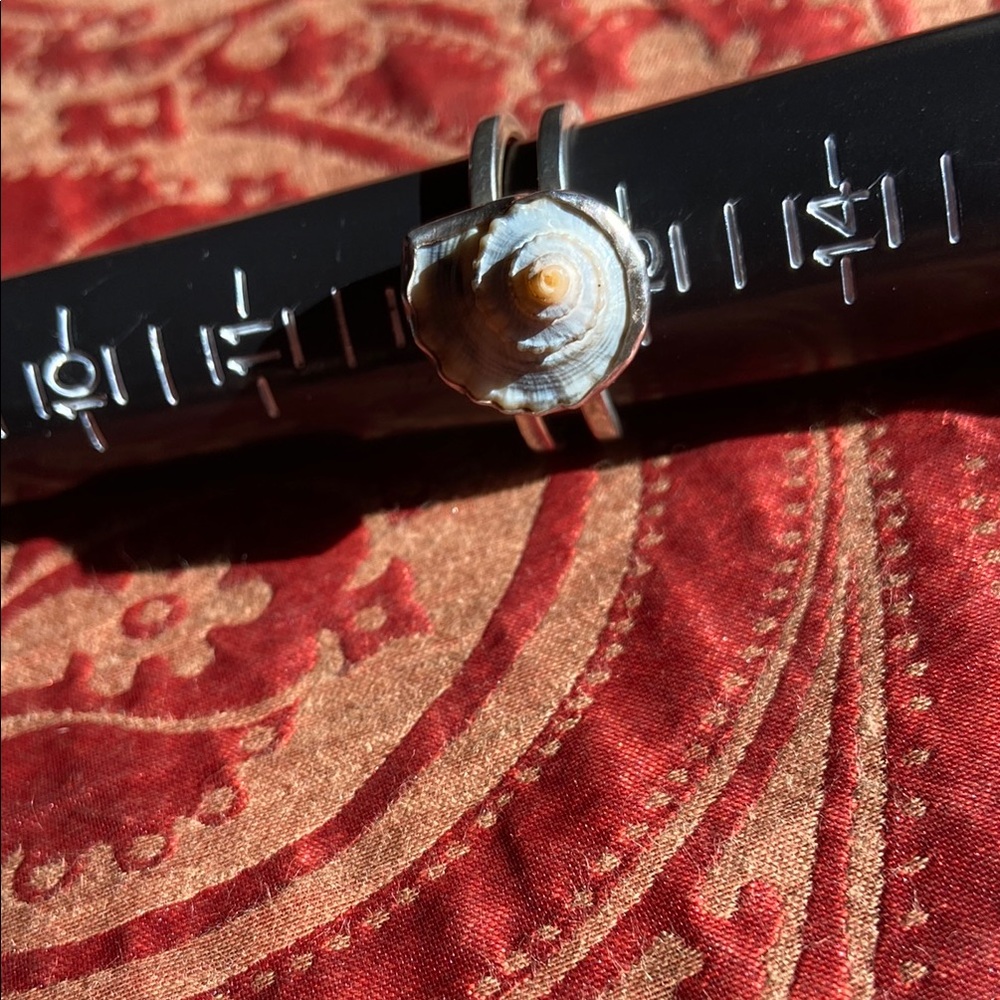 Unique Shell Ring